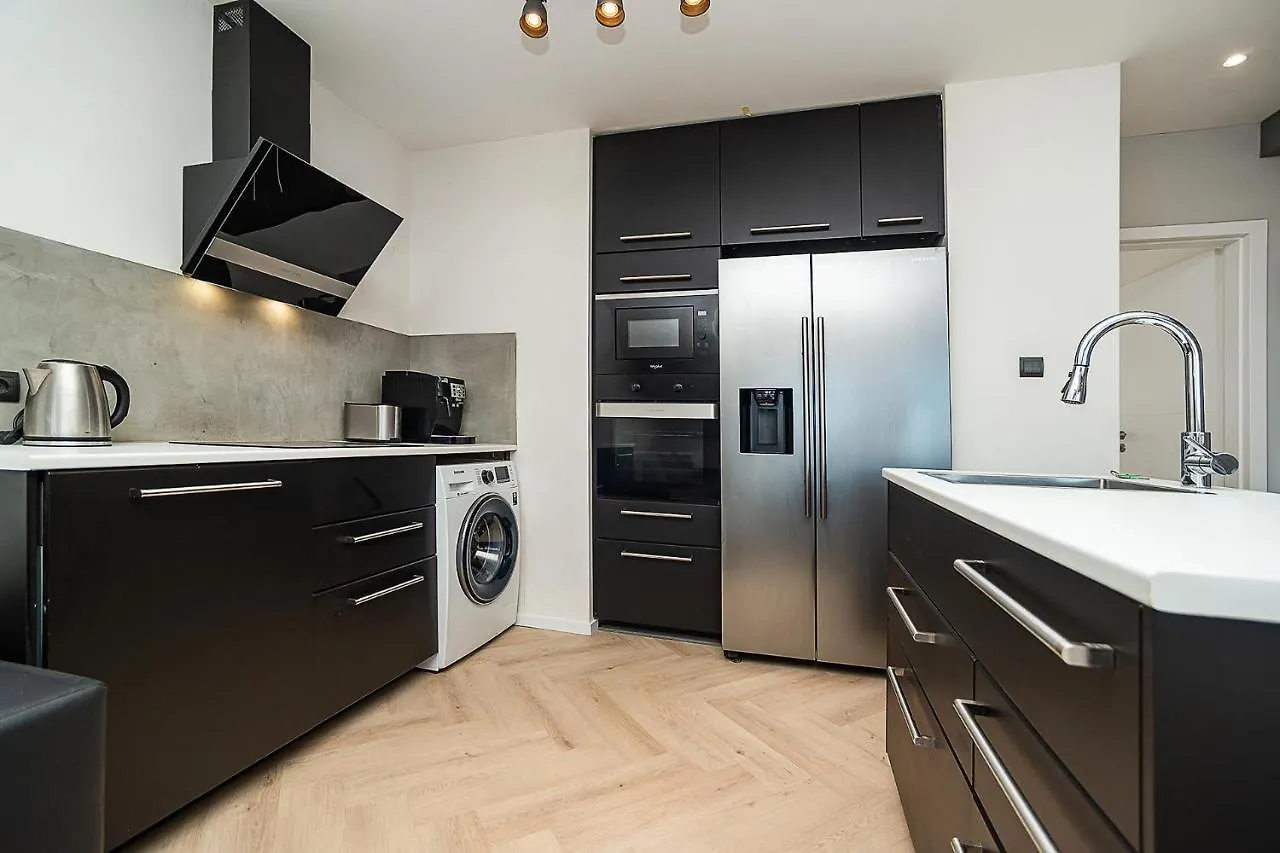 Big 4-Bedroom Flat, Terrace With Great Vitkov View Prague Apartment