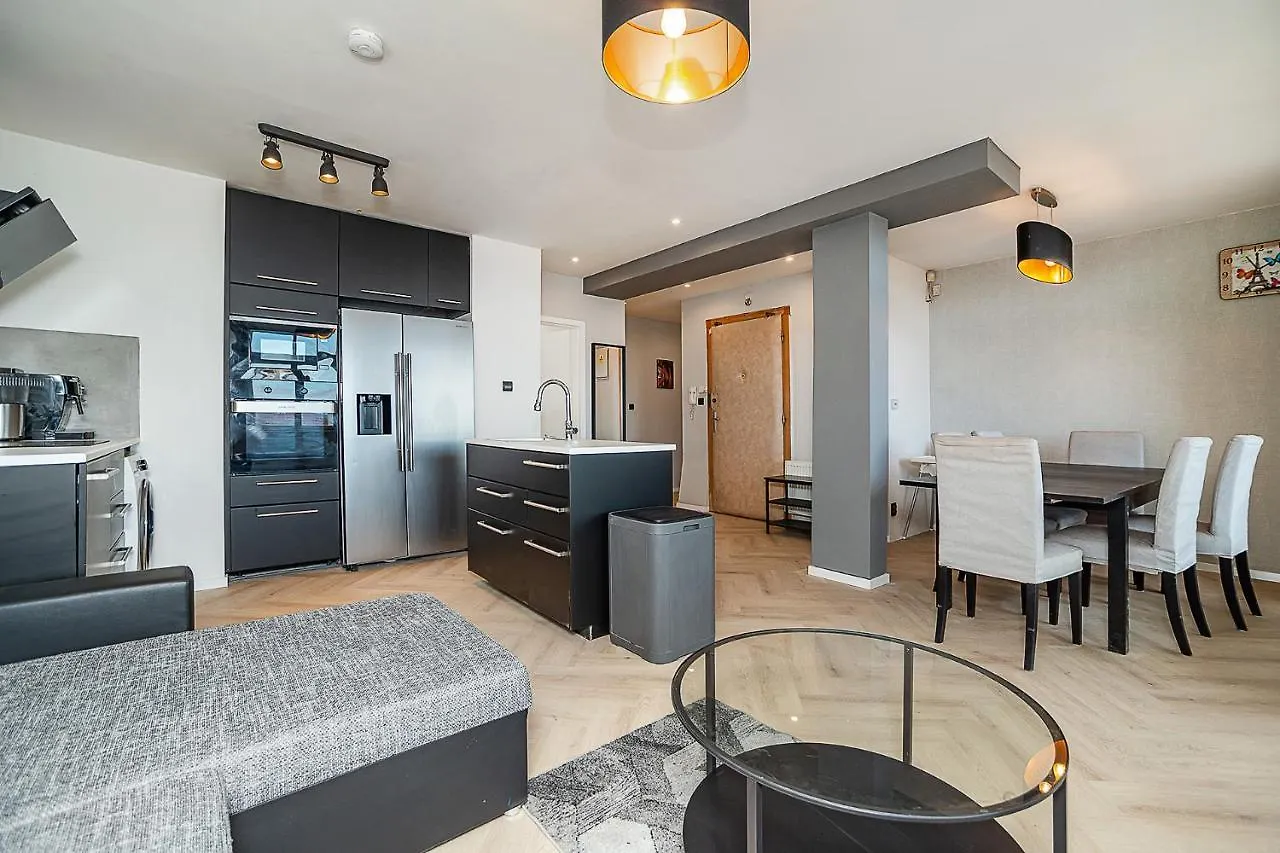 Big 4-Bedroom Flat, Terrace With Great Vitkov View Prague Apartment