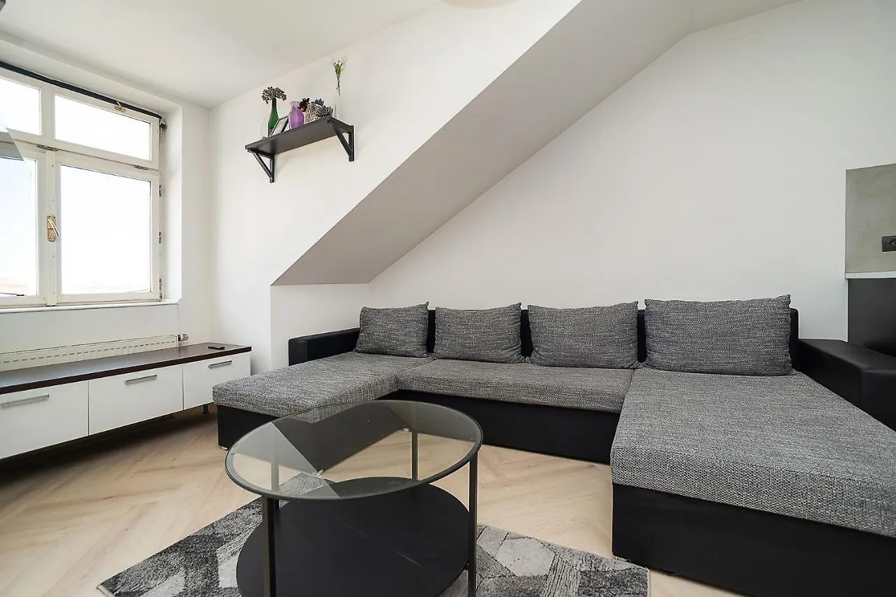 Big 4-Bedroom Flat, Terrace With Great Vitkov View Prague Czech Republic