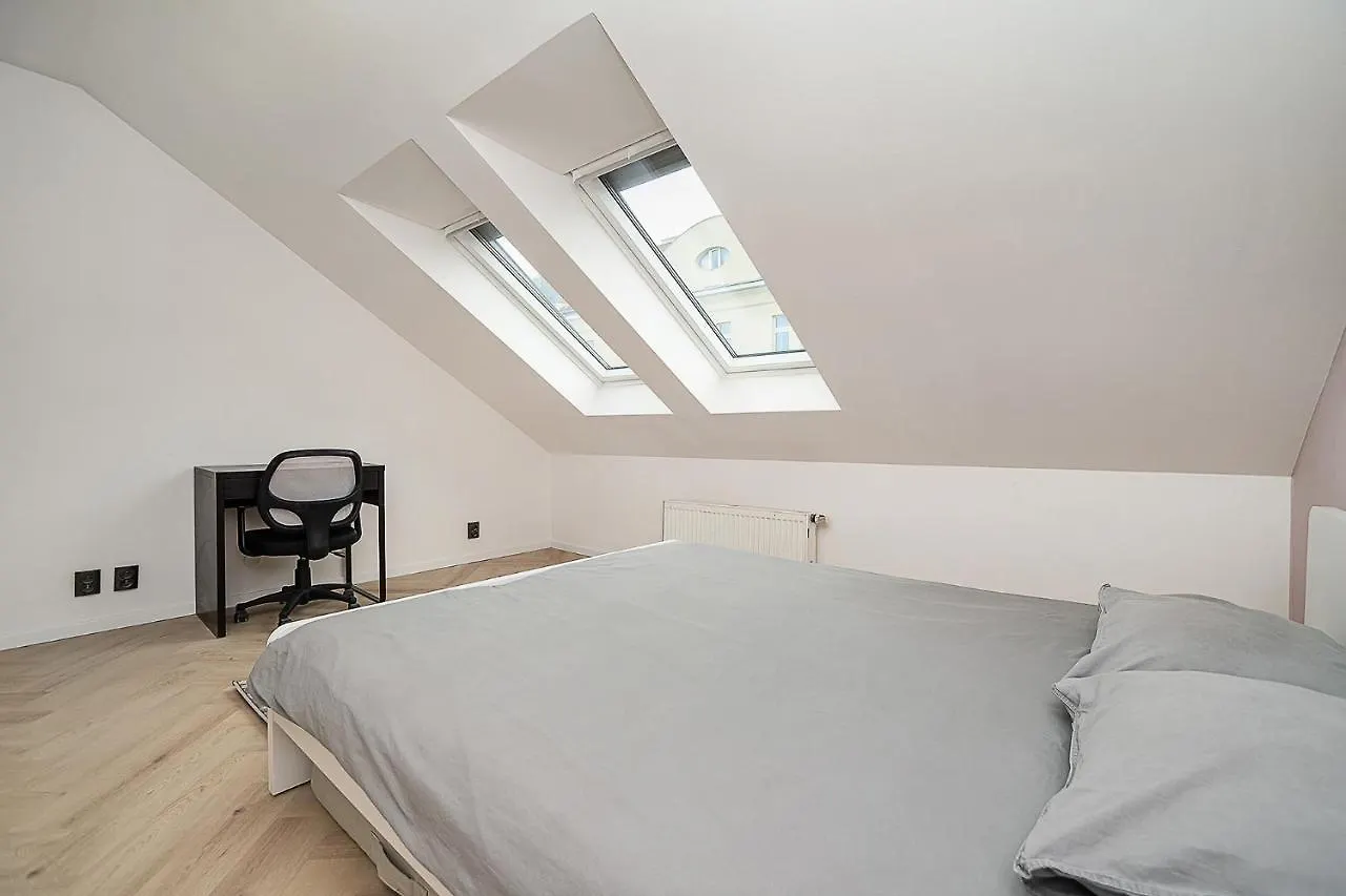 Big 4-Bedroom Flat, Terrace With Great Vitkov View Prague