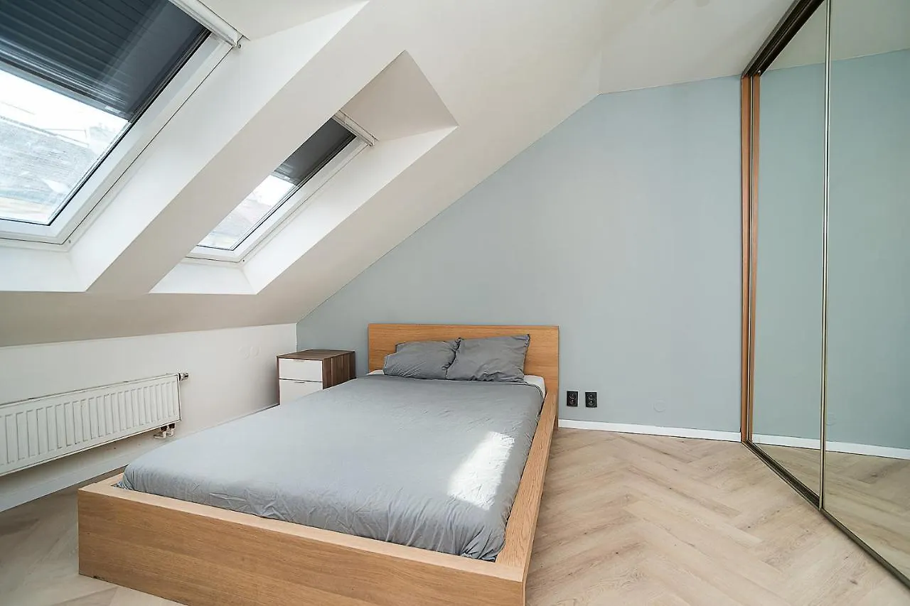 Apartment Big 4-Bedroom Flat, Terrace With Great Vitkov View Prague