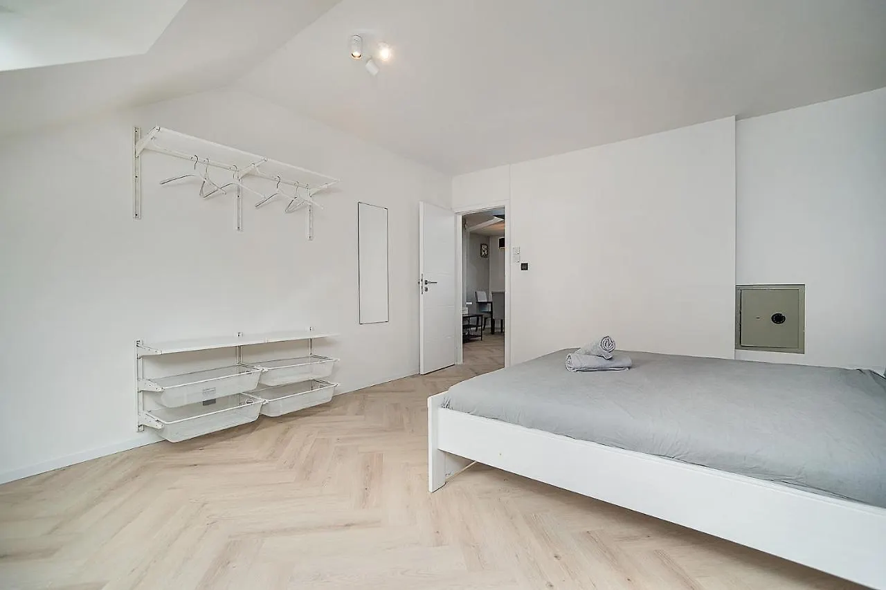 Big 4-Bedroom Flat, Terrace With Great Vitkov View Prague
